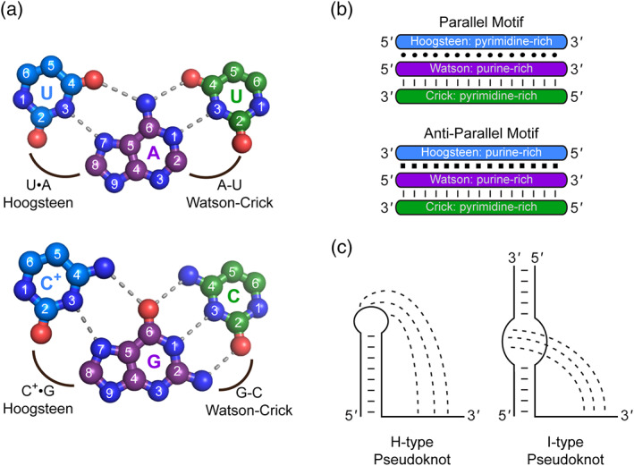 FIGURE 1