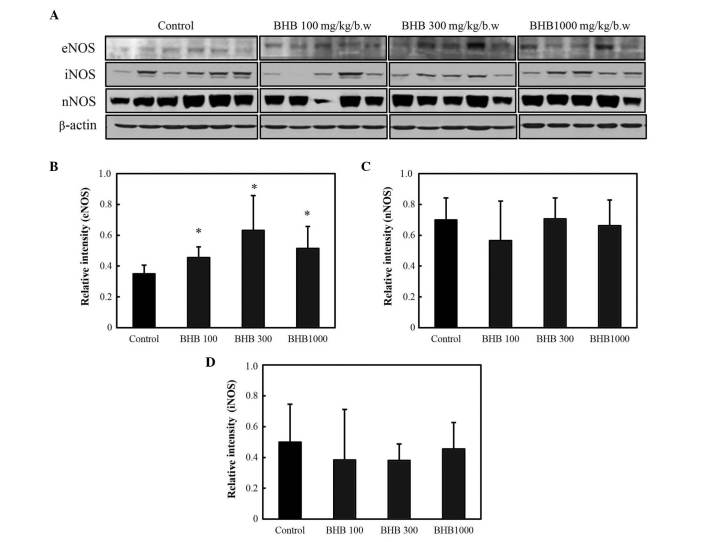 Figure 5.