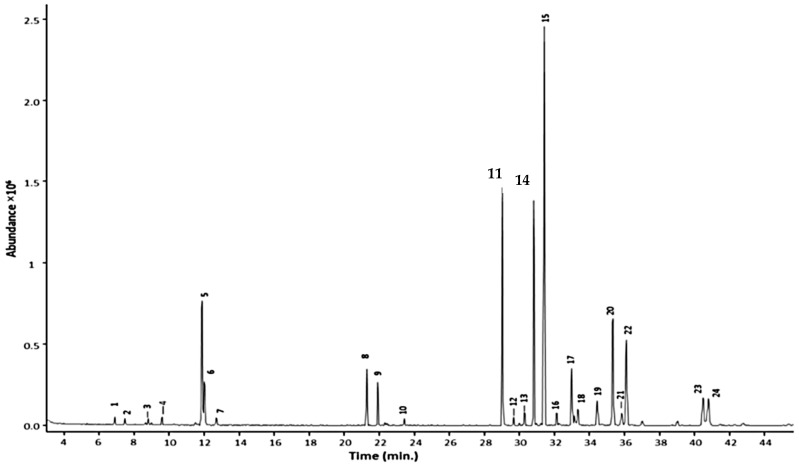 Figure 2