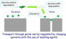 Figure 10.
