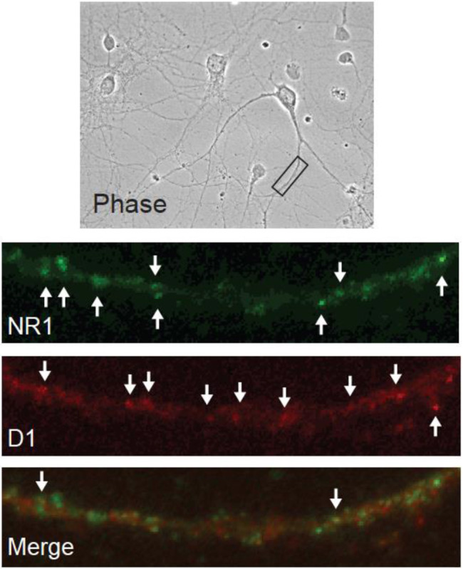 Figure 4.