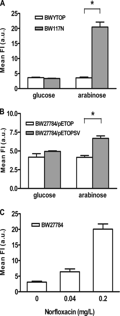 FIG. 2.