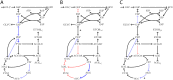 Fig 6
