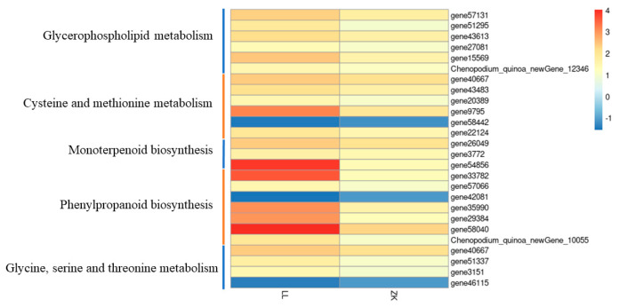 Figure 12