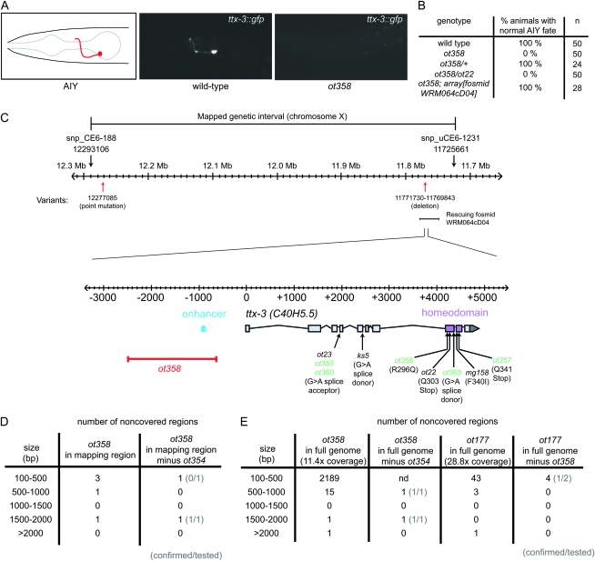 Figure 1.—