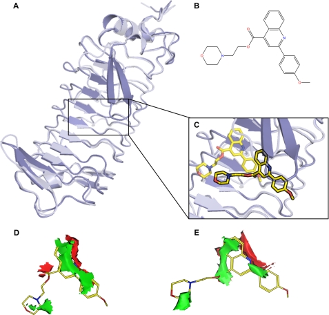 FIGURE 2.