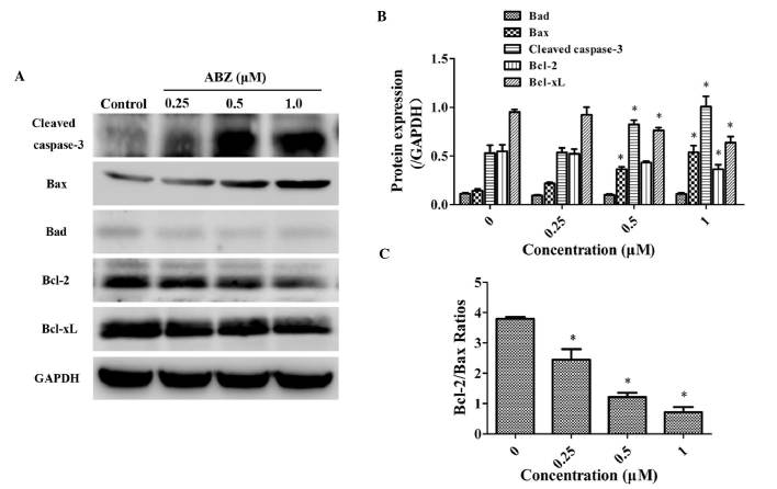 Figure 6.