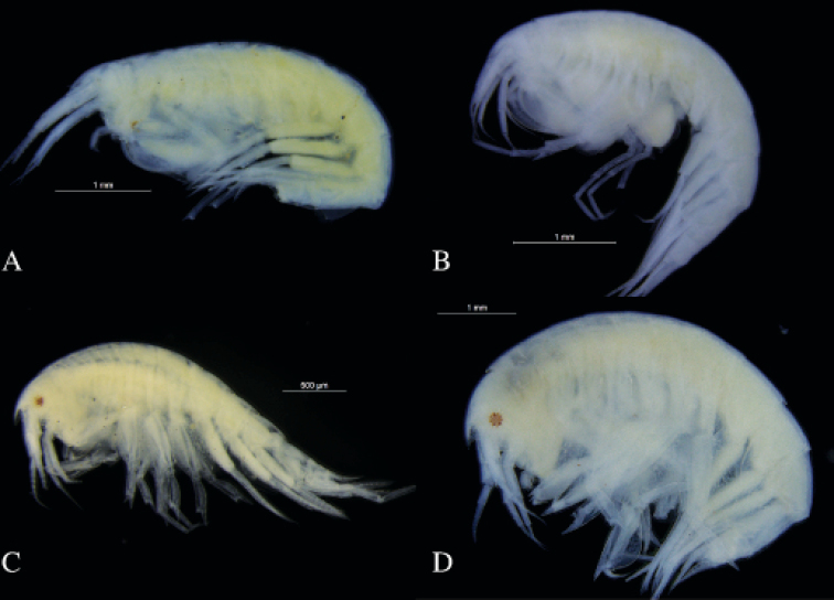 Figure 13.