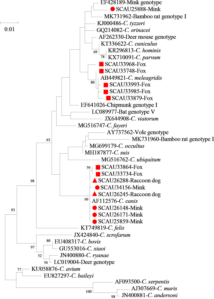 Figure 1