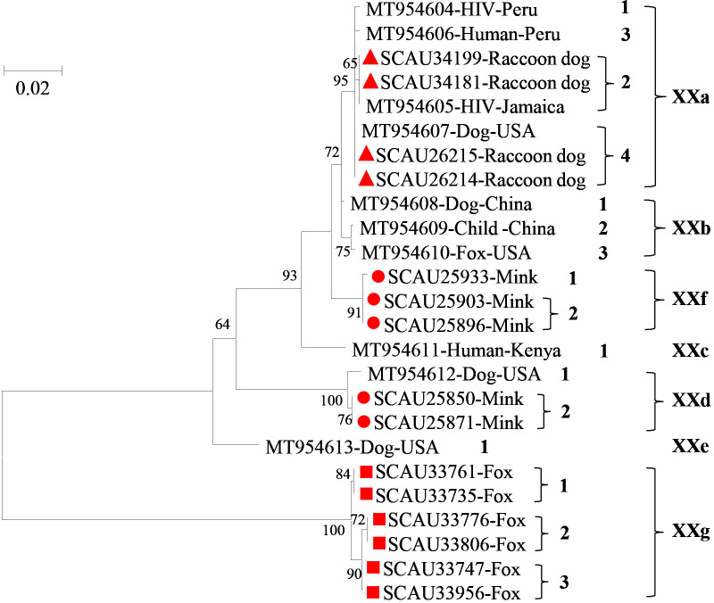 Figure 2