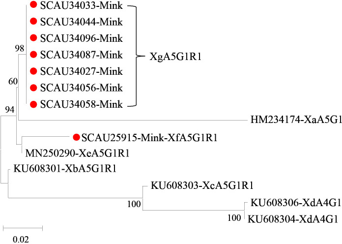 Figure 3