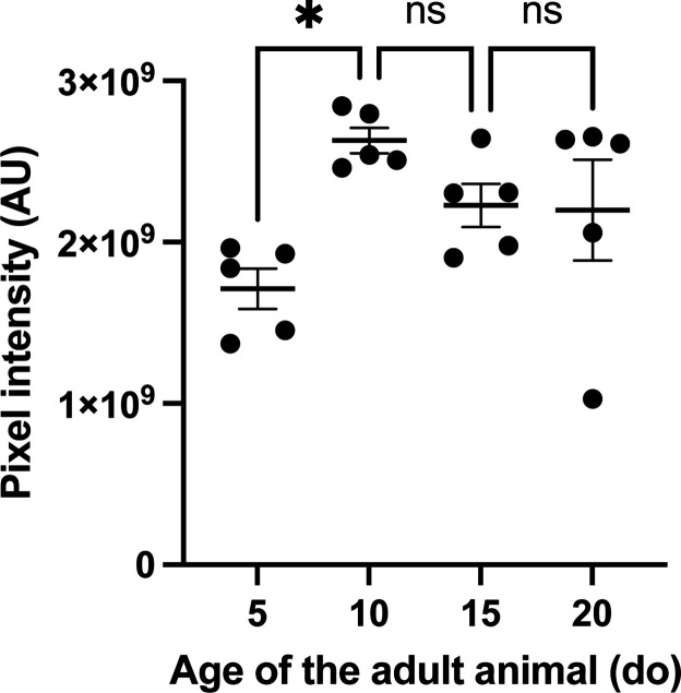 Figure 3—figure supplement 1.