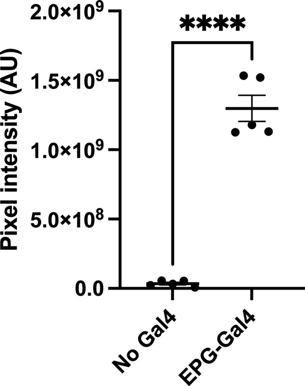 Figure 2—figure supplement 2.