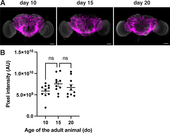 Figure 3—figure supplement 3.