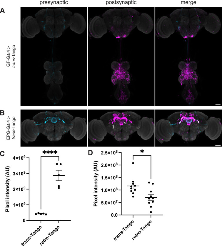 Figure 2—figure supplement 1.