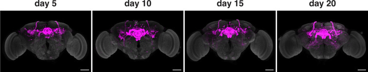 Figure 3.