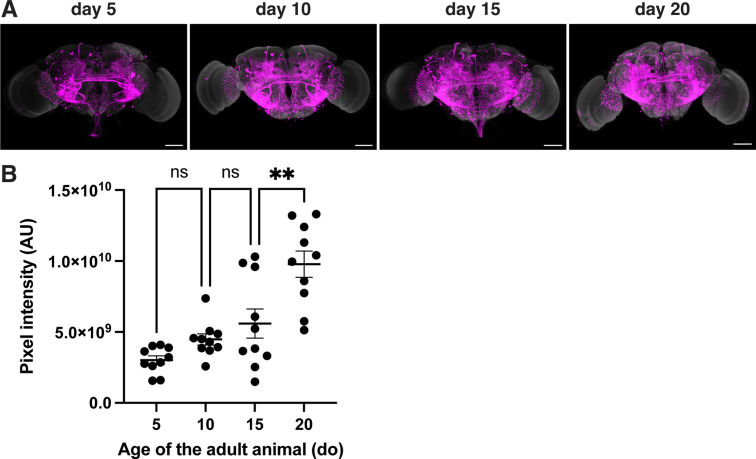 Figure 3—figure supplement 2.