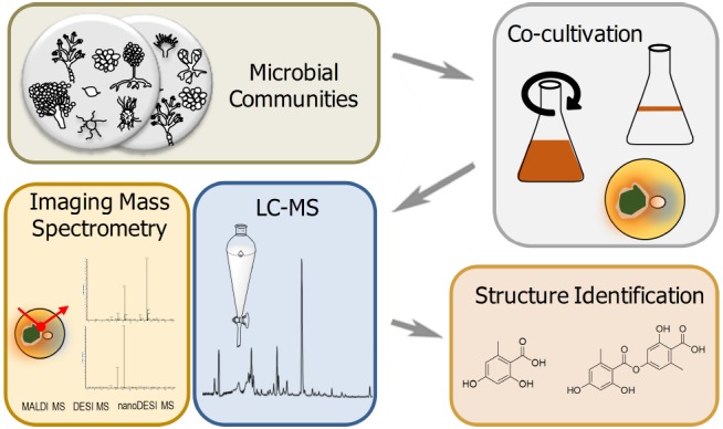 FIGURE 3