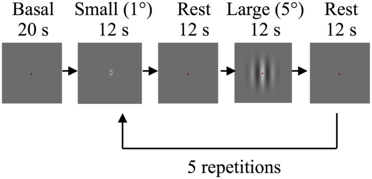 FIGURE 1