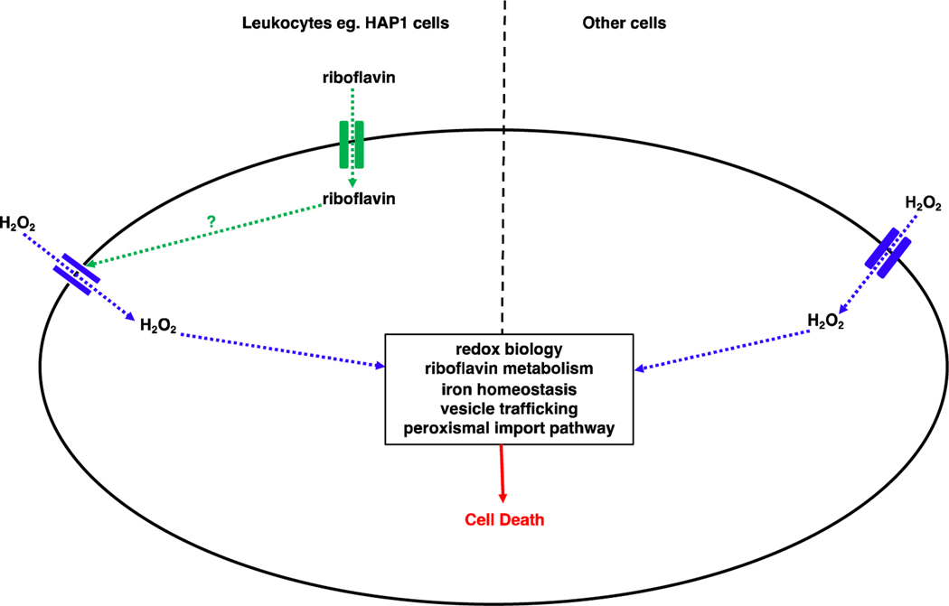 Figure 2: