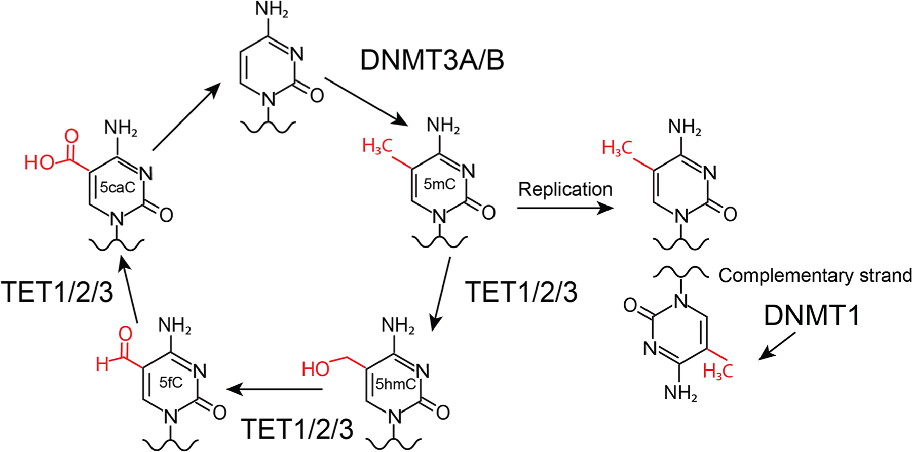 FIG. 2: