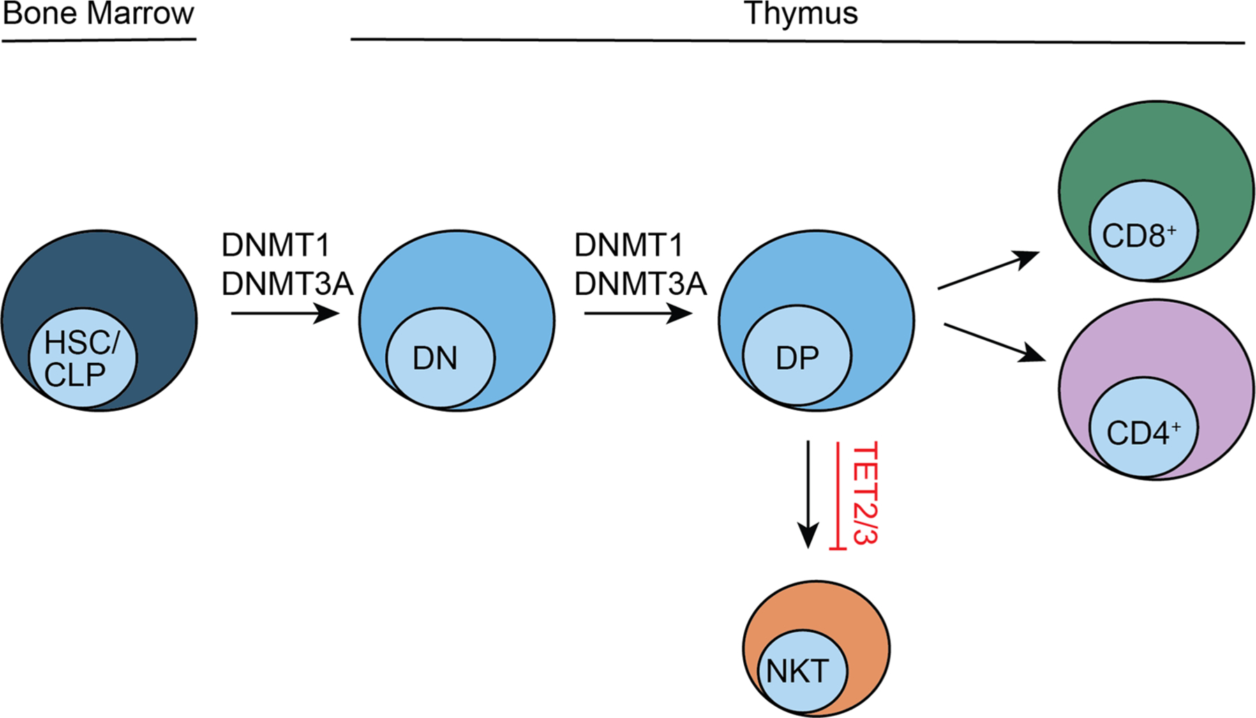 FIG. 3: