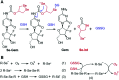 Scheme 2