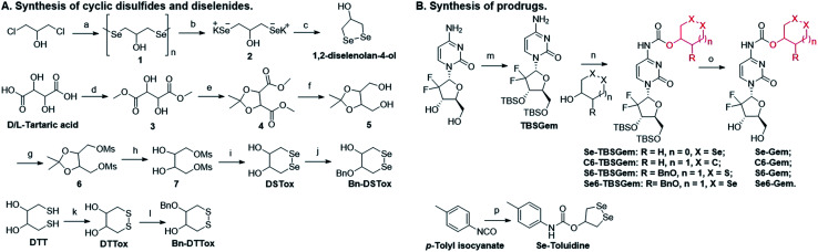 Scheme 1