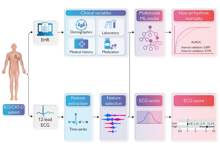 Graphical Abstract