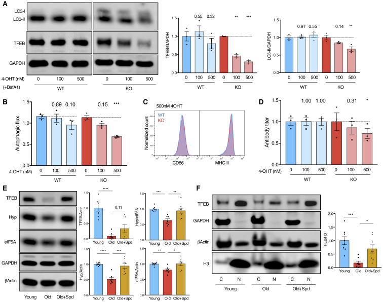 Figure 6