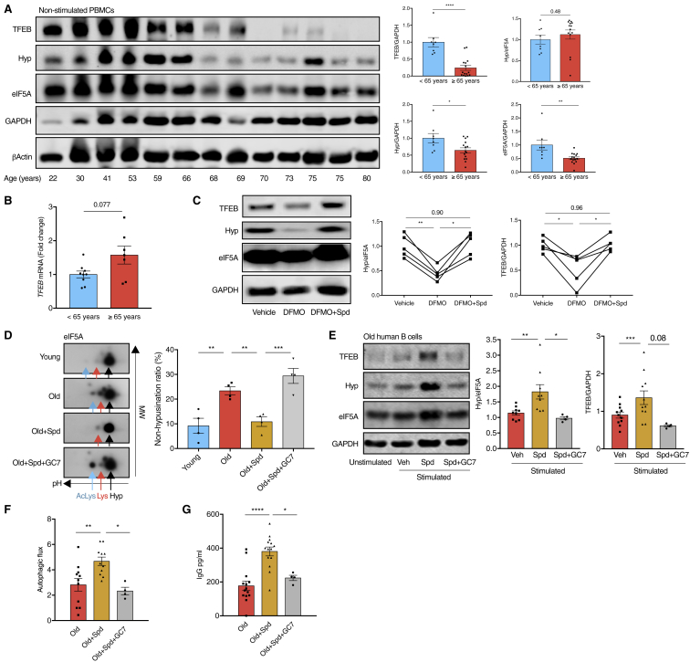 Figure 7