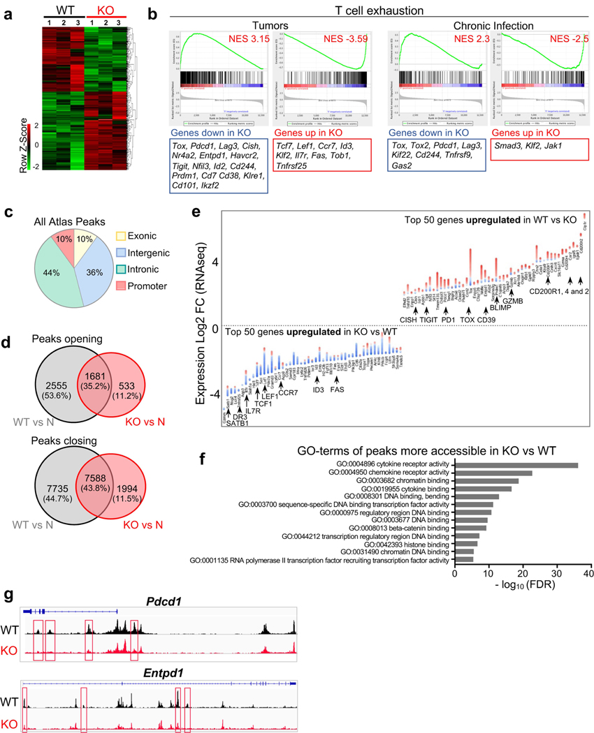 Extended Data Fig. 9 |