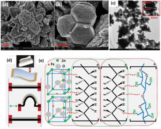 Figure 19