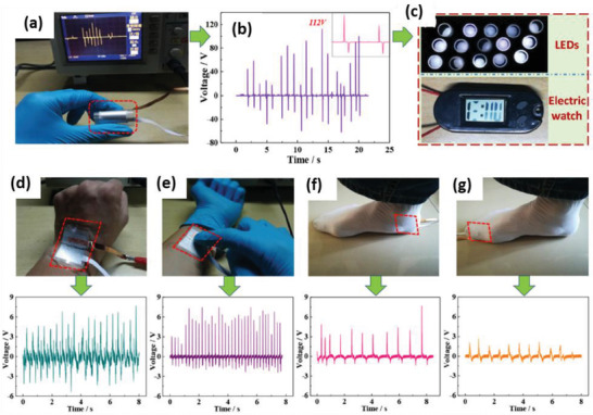 Figure 43