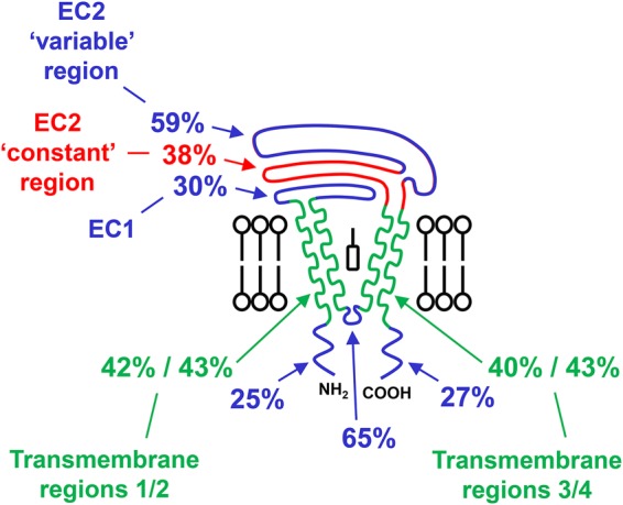 Figure 6.