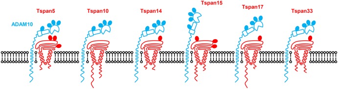 Figure 4.