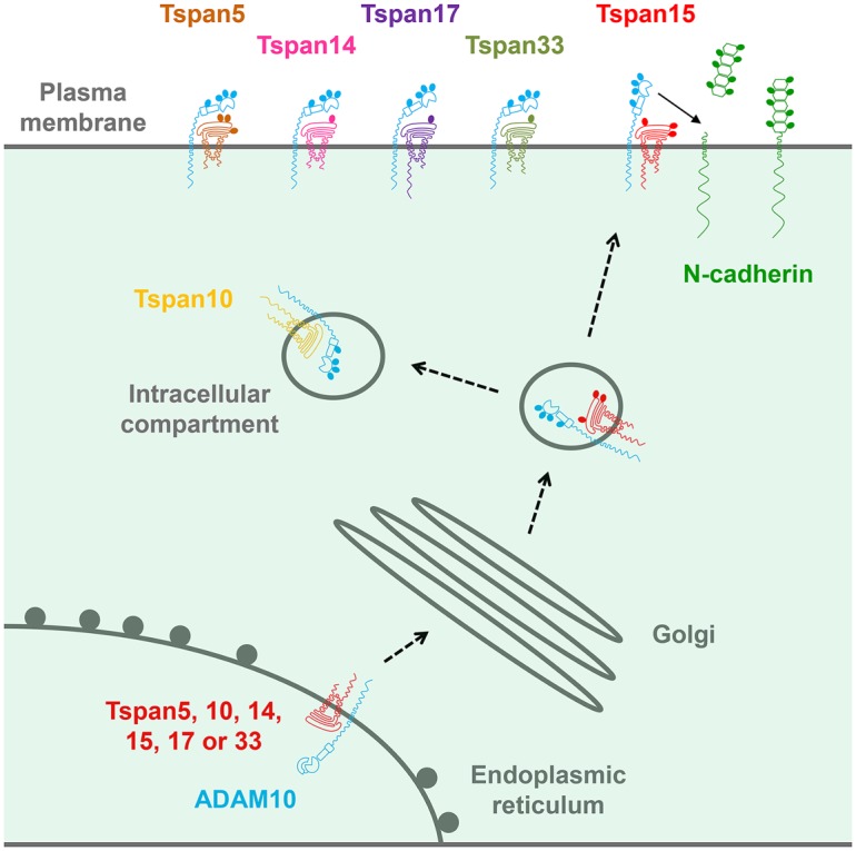 Figure 3.