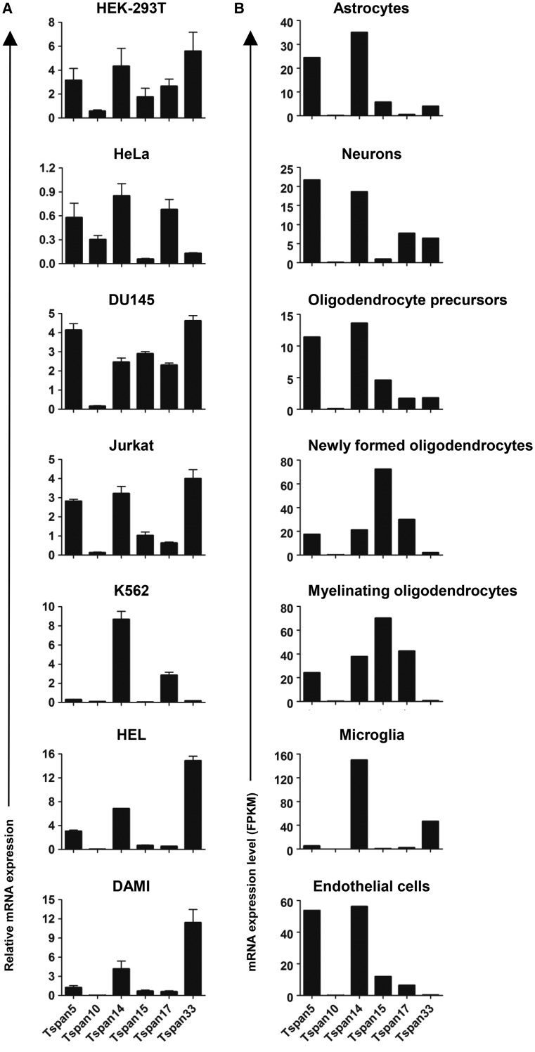 Figure 5.