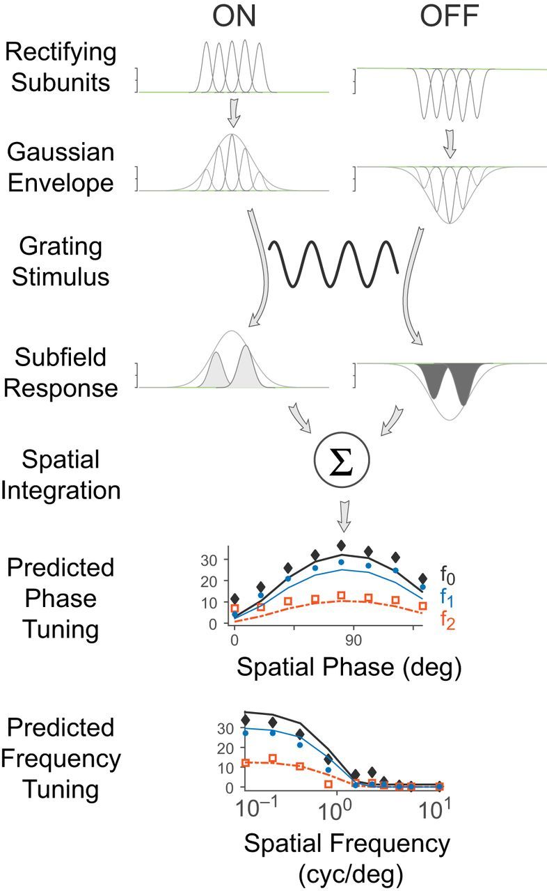 Figure 11.