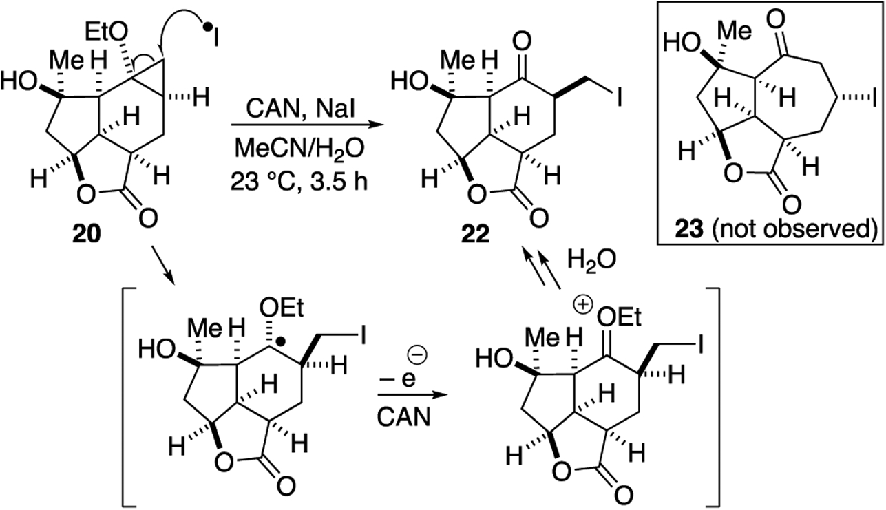 Scheme 4.