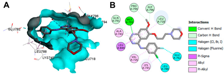 Figure 32