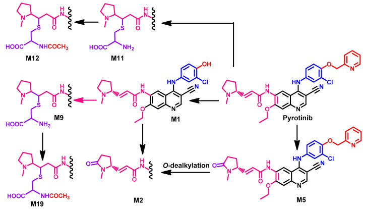 Figure 59