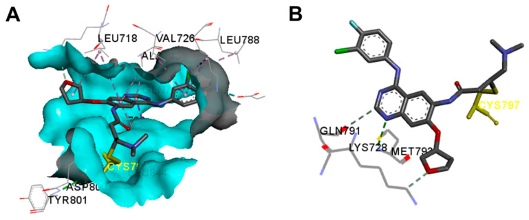 Figure 9