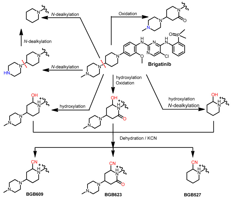 Figure 20