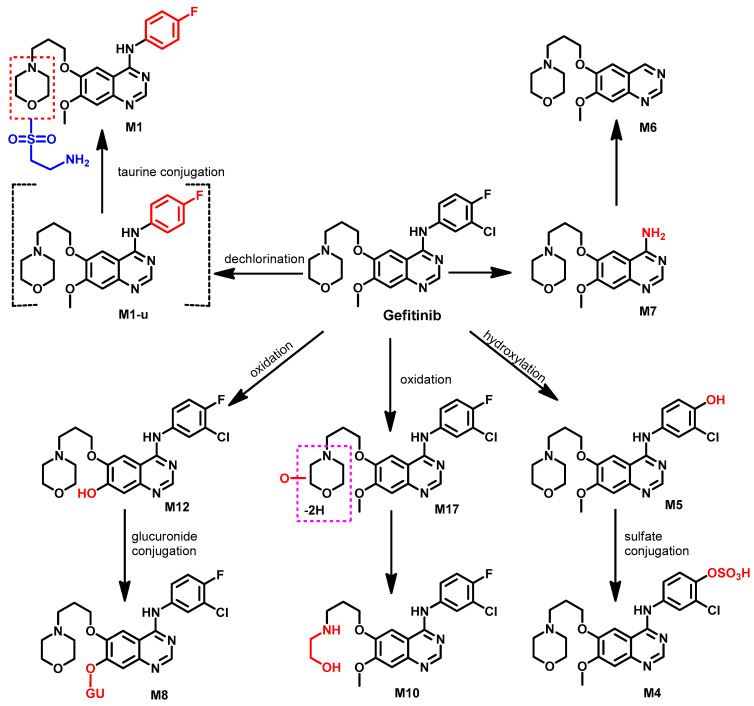 Figure 35