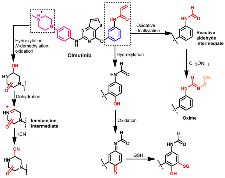 Figure 50