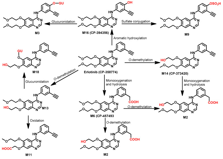 Figure 29