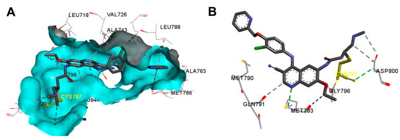 Figure 46