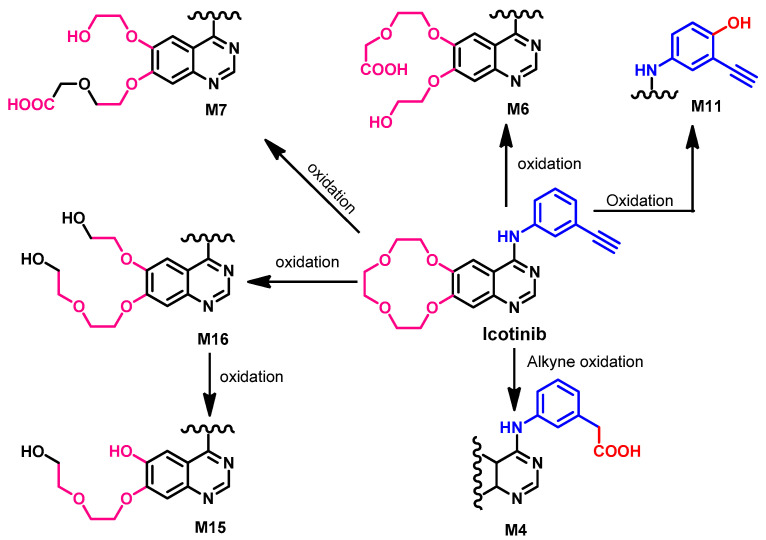 Figure 38