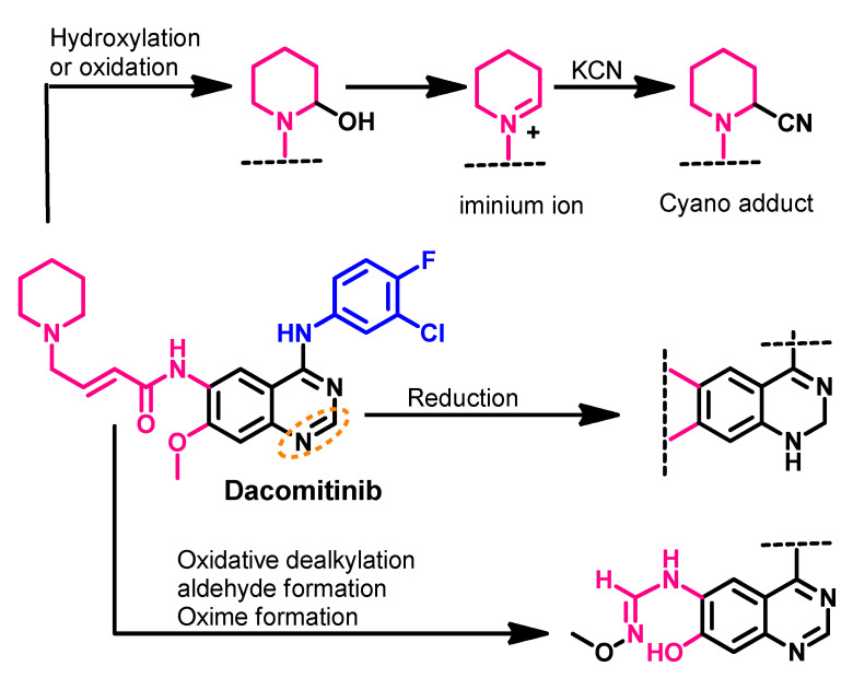 Figure 24